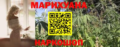apvp Нальчик