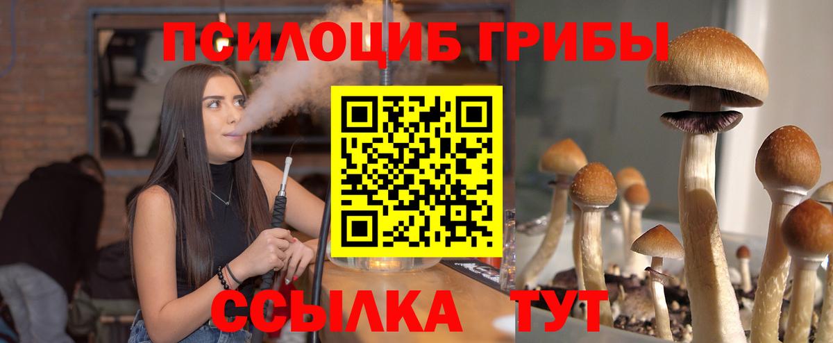 Холмск  цена наркотик  Псилоцибиновые грибы Cubensis  Вход с VPN  Галлюциногенные грибы мицелий 