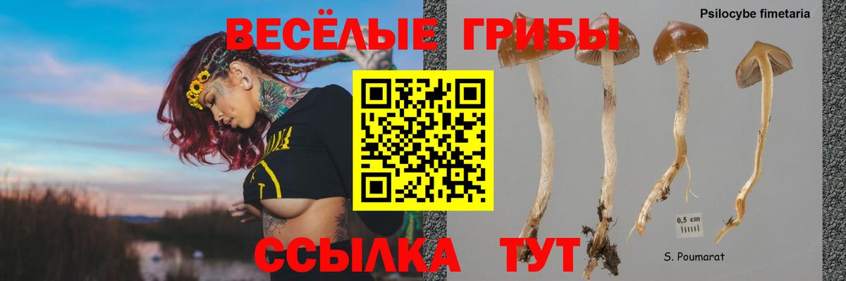 Галлюциногенные грибы MAGIC MUSHROOMS Холмск